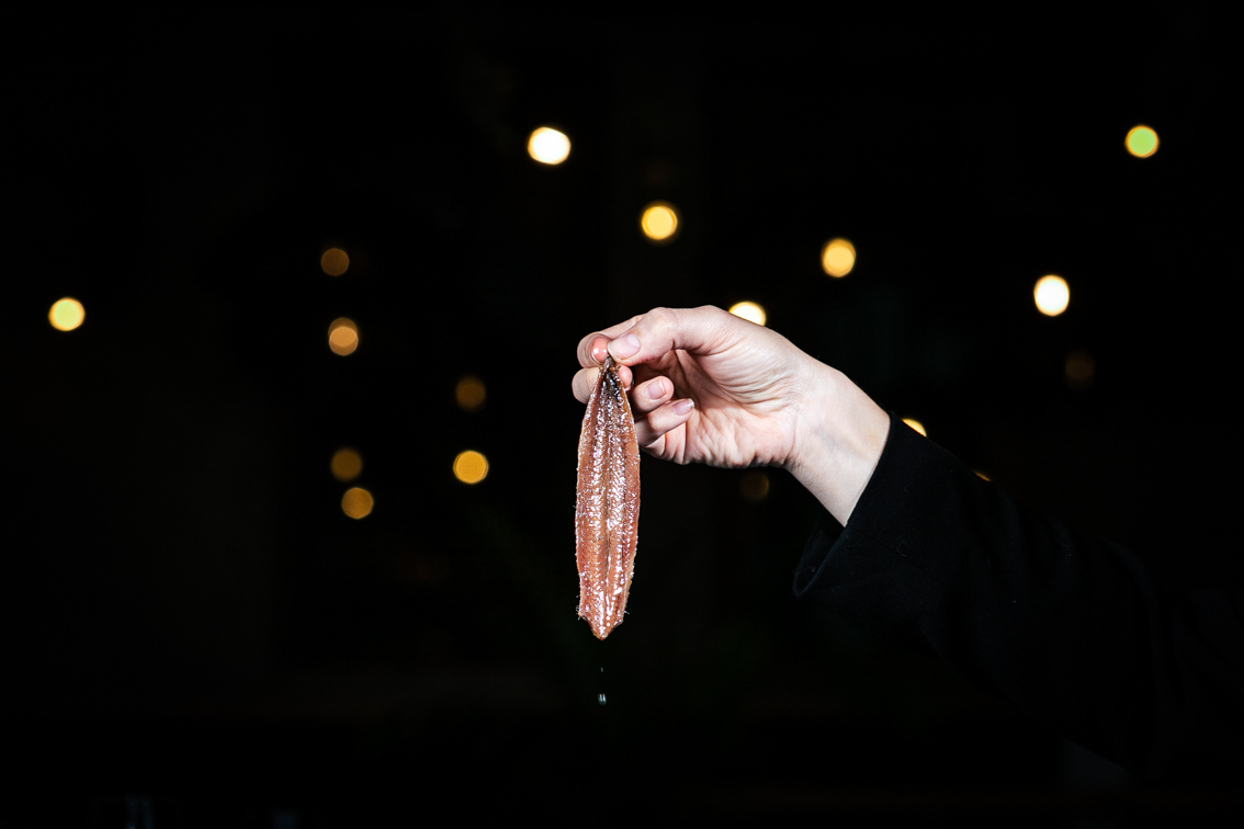 fotógrafo gastronómico Zaragoza